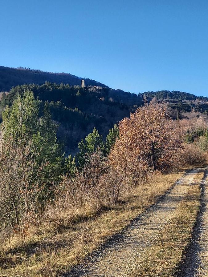 App Parenzana Daire Grožnjan Dış mekan fotoğraf
